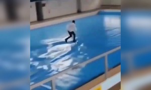 এই লোকটা জলের ওপর দৌড়াচ্ছে কিভাবে