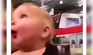 বাচ্চাটি প্রথমবার শপিং মলে এসে অবাক হয়ে গেছে