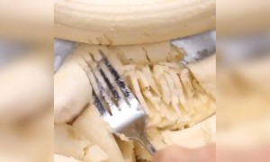 চকোলেট কাপকেক কীভাবে বানাবেন তা দেখুন