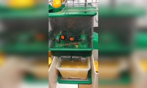 কমলালেবুর রস বের করার এই মেশিন খুব ভালো