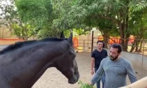 দেখুন সালমান খান করছেন নিজের ঘোড়ার সাথে ব্রেকফাস্ট