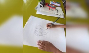 ফারাহ খানের কন্যা ছবি এঁকে তুললেন গরিবদের জন্য টাকা