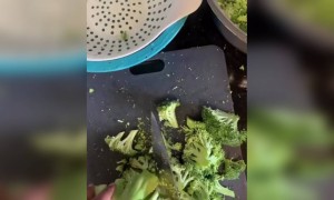 ব্রকলি দিয়ে পুষ্টিকর স্যুপ কিভাবে বানাবেন দেখুন