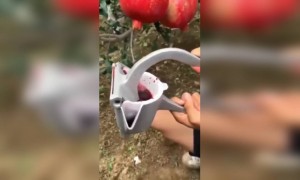 ফলের রস বের করার মেশিনটা বেশ ভালো