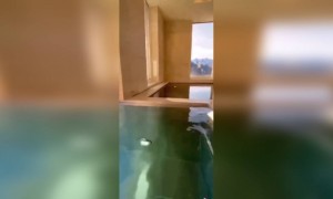 এরকম হোটেলে থাকার ইচ্ছে আছে খুব