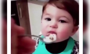 এই বাচ্চার সাথে একদম পাঙ্গা নেবেন না