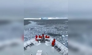 আন্টার্কটিকায় জাহাজ চড়তে কেমন লাগে দেখুন