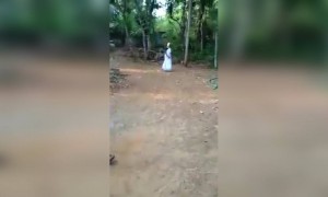 দেখুন দাদু দিদা দুজন কি সুন্দর ক্রিকেট খেলছেন