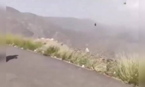 বেশি পাকামো মারতে গেলে এরকমই হবে