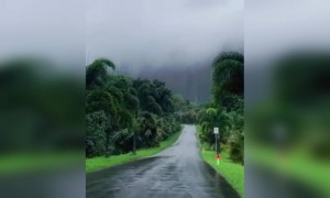 বৃষ্টির দিনে হাওয়াই কি সুন্দর লাগে