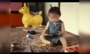 পরীক্ষার আগের রাতে প্রথমবার বই খুললে যা হয়