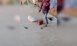 কি শয়তান বাচ্চা রে ভাই