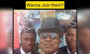 চিনতে পারছেন এদের?