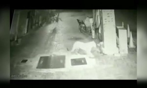 উত্তরাখণ্ডের একটি পেট্রোল পাম্পে দেখা গেল চিতাবাঘ