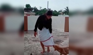 ভিডিও বানাতে গিয়ে কি হলো দেখুন