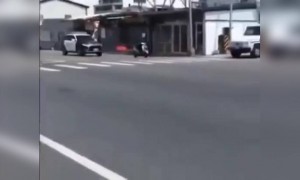 কি পালালো রে ভাই!