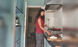 দেখুন পাওলি ব্যস্ত চিলি পনির রান্না করতে