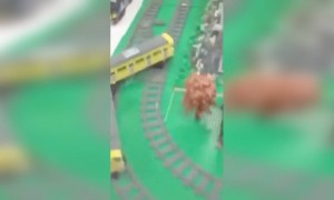 এরকম মজাদার ট্রেন দেখেছেন কি?