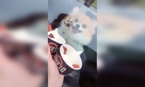 আইস ক্রিম সবার ভালো লাগে