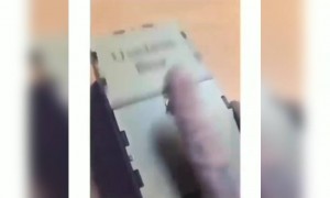 সময় কাটানোর জন্য এরকম একটা বাক্স চাই