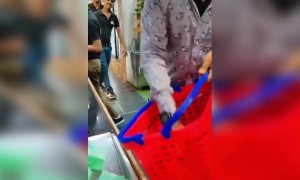 এটার বিল কত হওয়া উচিত?