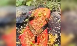 এটা আবার কে খায়