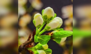 মায়ের ভালোবাসা থাকলে আর কিছু চাই না পৃথিবীতে