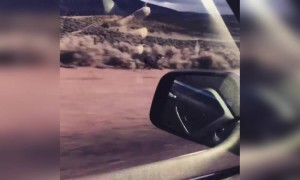 দেখুন এই কুকুরটি কত দ্রুত দৌড়ায়