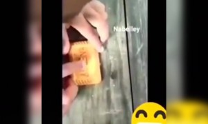 কি সুন্দর বানান বলতে পারে বাচ্চাটি শুনুন