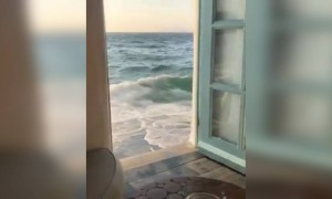 এরকম জায়গায় একটা বাড়ি থাকলে বেশ ভালো হতো