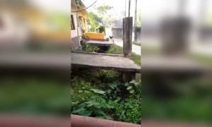 বানর মোটরসাইকেলের সাথে কি করলো দেখুন