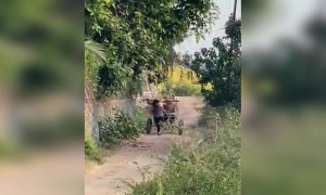 বিদ্যুৎ জামওয়াল কিভাবে নিজেকে ফিট রাখছে দেখুন