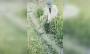 পুলিশের ভয় কাকতাড়ুয়া হয়ে গেল লোকটা