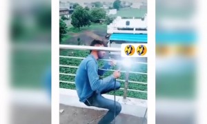 মাথায় এত বুদ্ধি যে মাথাটাই ফেঁসে গেলো