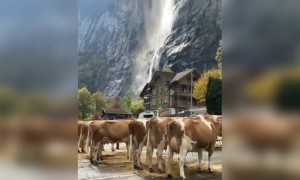 সুইজারল্যান্ডের সৌন্দর্যের কোন তুলনা নেই