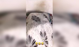 আমার পড়াশোনার কথা ভাবলে এরকমই হয়