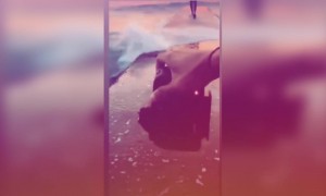 কি সুন্দর ছবি তোলা হচ্ছে দেখুন