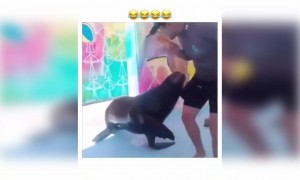 পশুরাও আজকাল মানুষের সাথে ঠাট্টা করে