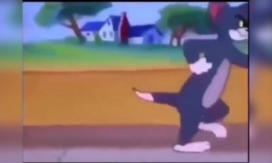 দেখুন টম এন্ড জেরি হিন্দি গানে নাচছে