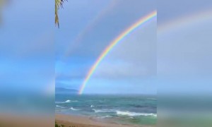 অপূর্ব রংধনু দেখুন