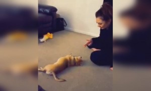 দেখুন আরেক ভালো অভিনেতা