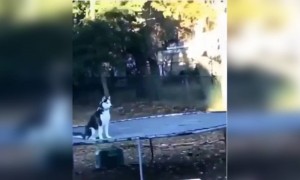 খেলতে খেলতে যখন মনে পরে জীবনে কত প্রব্লেম