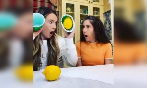 এ কি সত্যি এত বোকা নাকি এক্টিং করছে?