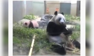 যখন খাওয়ার মাঝখানে হঠাৎ মনে পরে যে আপনার বাচ্চা আছে