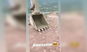 প্লাস্টিকের বোতল তোলার কি দারুন উপায় দেখুন