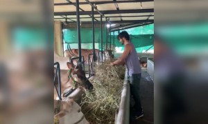 লকডাউনের মধ্যে বিদ্যুৎ জামওয়াল রাখছেন সবার খেয়াল