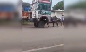 এরকম ট্রাক আপনি আগে কখনো দেখেননি