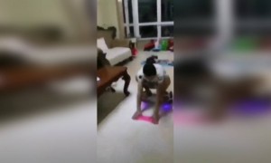 ঘর পরিষ্কার করার নতুন কায়দা পাওয়া গেছে