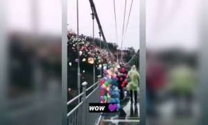 বিদেশে এই ব্রিজে কি সুন্দর সেলেব্রেশন হচ্ছে দেখুন