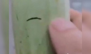 আজকাল যখন কেউ আমায় জিজ্ঞেস করে আমি কেমন আছি